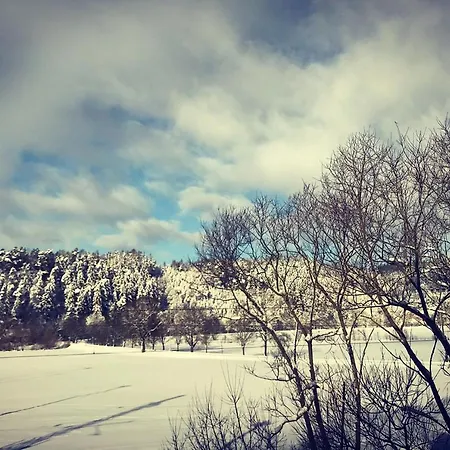 Ivko