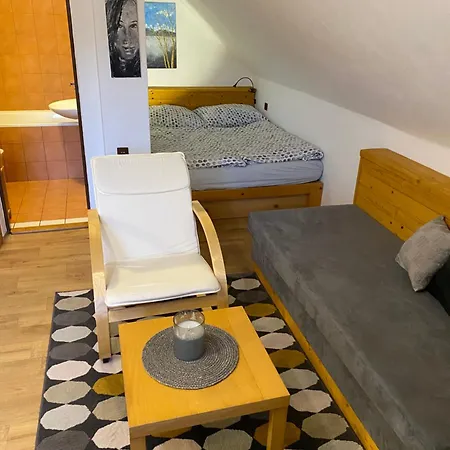 Ivko شقة Letohrad