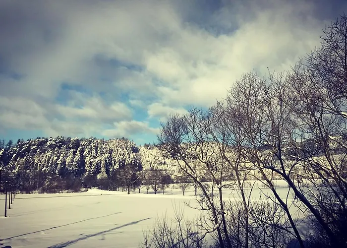 Ivko